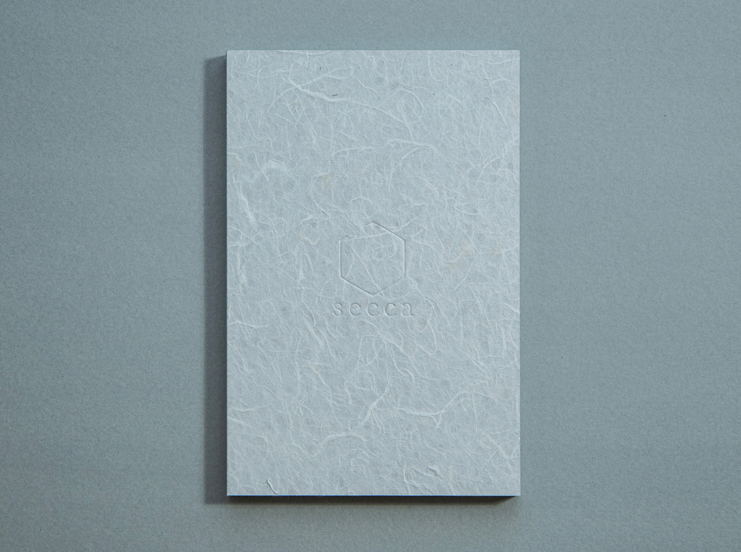SECCA BOOK