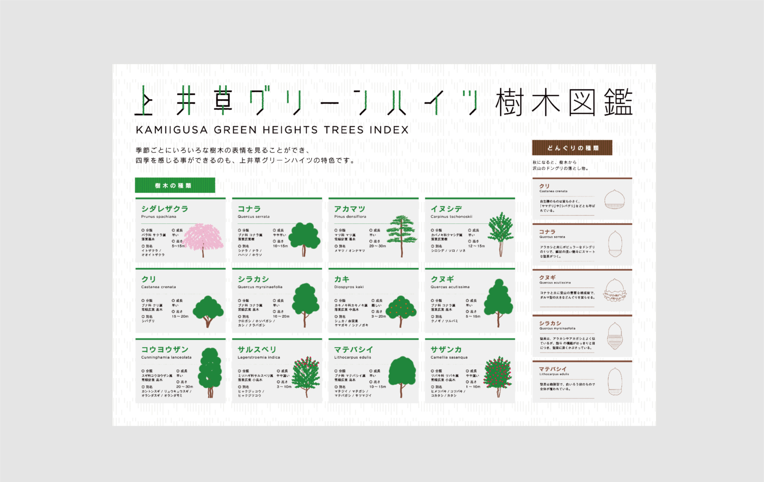 形態を変えずに時代にフィットさせた Newヴィンテージコミュニティ