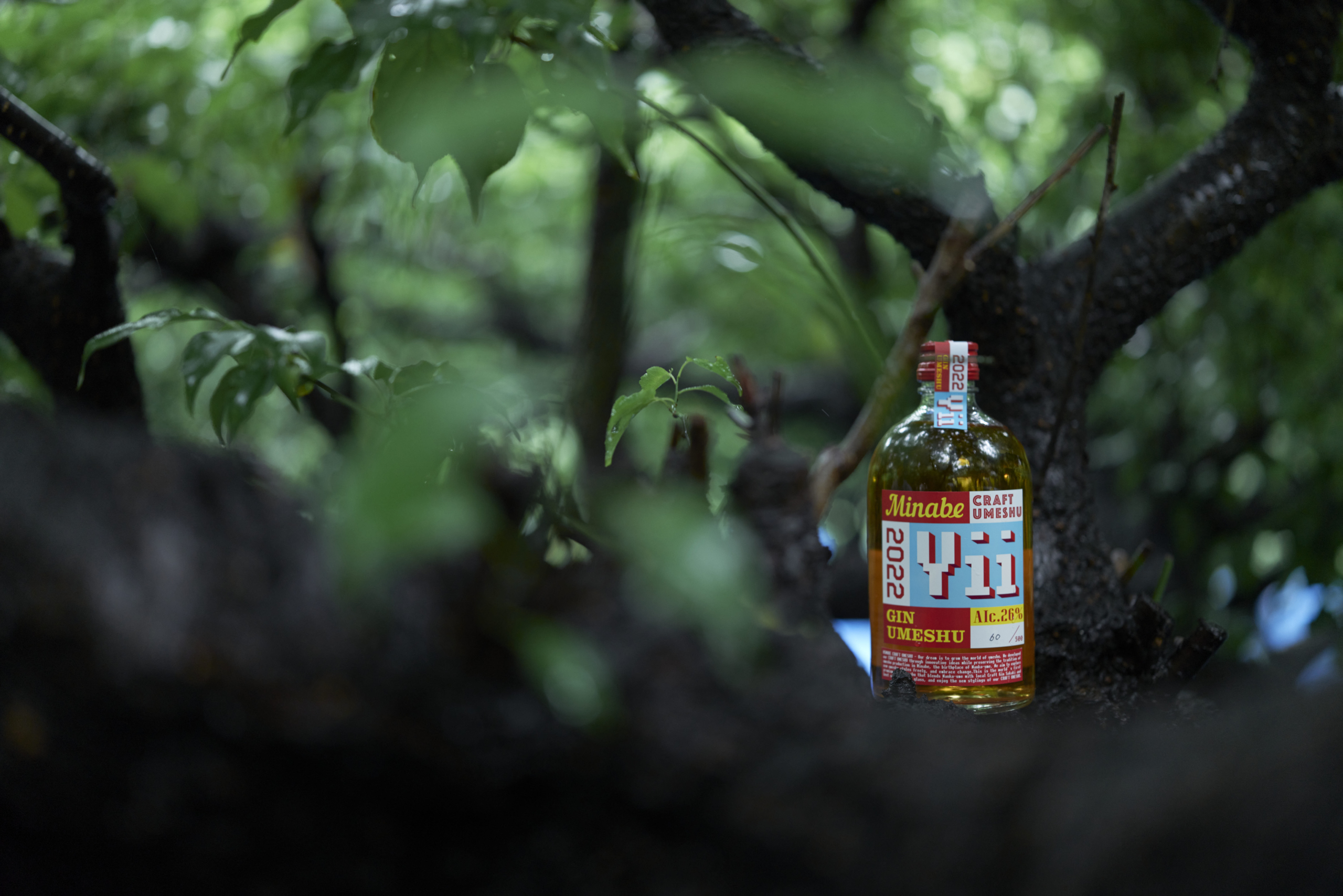 みなべクラフト 梅酒 Yii 2本セット MINABE CRAFT UMESHU「Yii」 変化を楽しむ、クラフト梅酒 | TANT