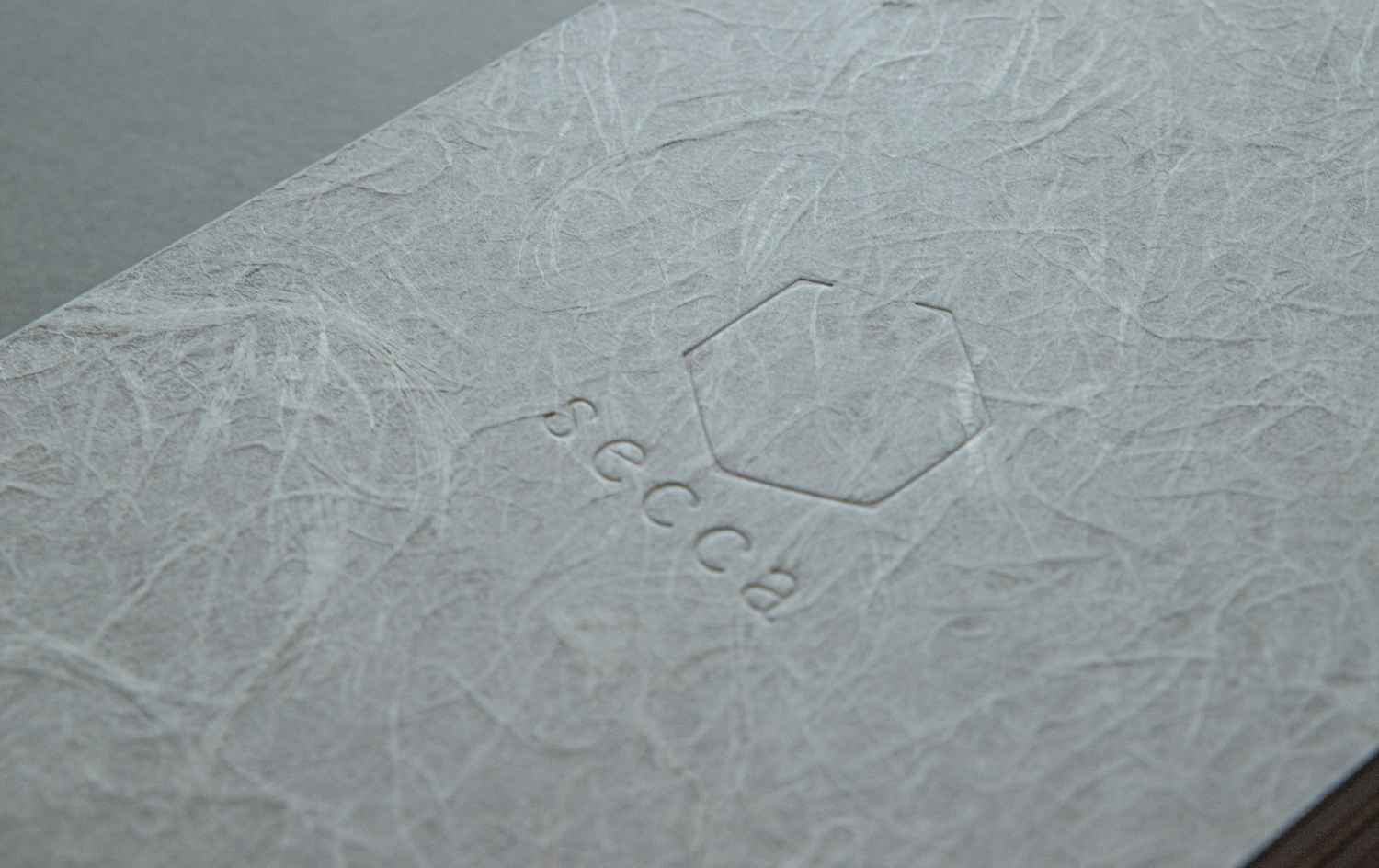 SECCA BOOK