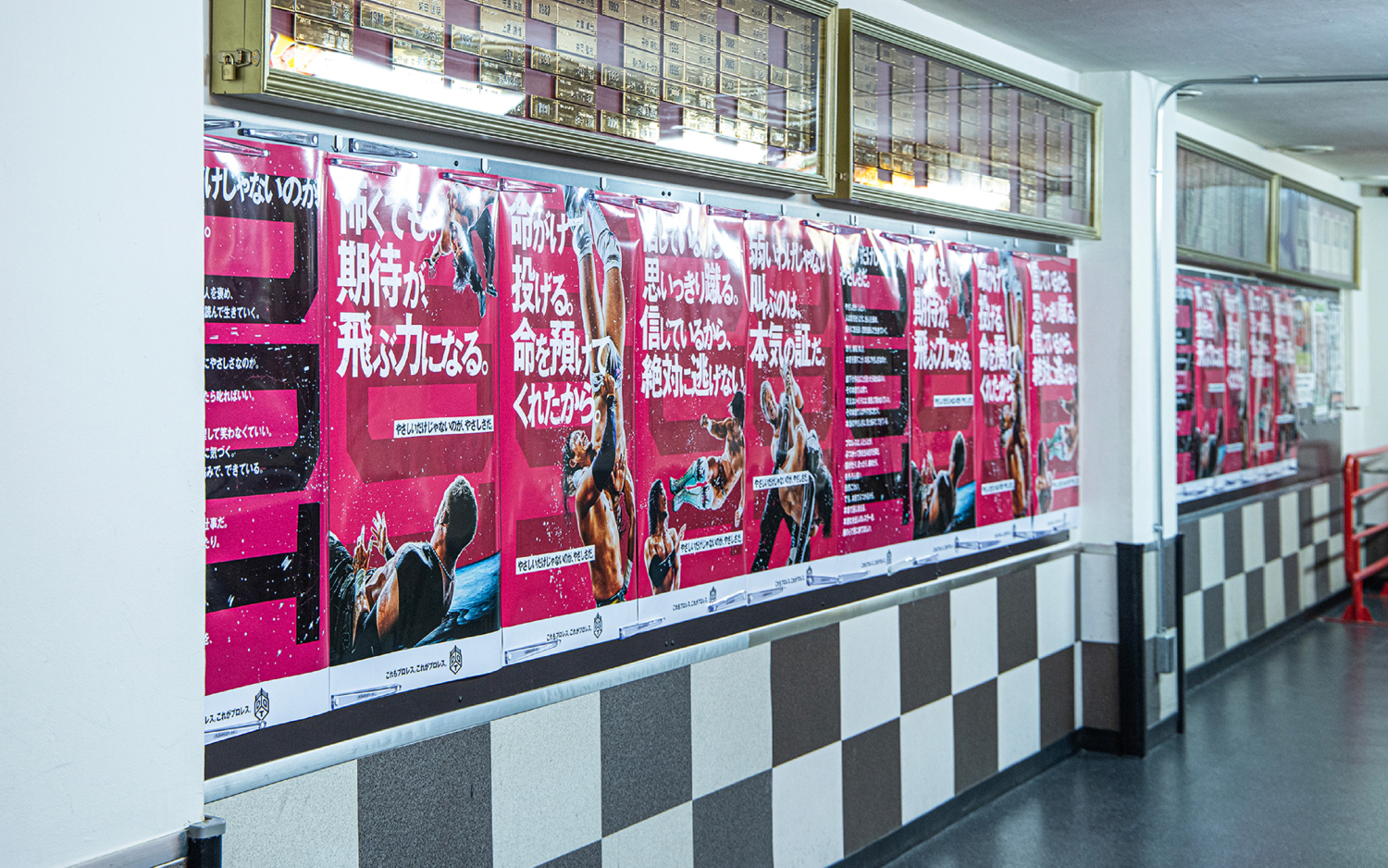 DDT -やさしいだけじゃないのが、やさしさだ。