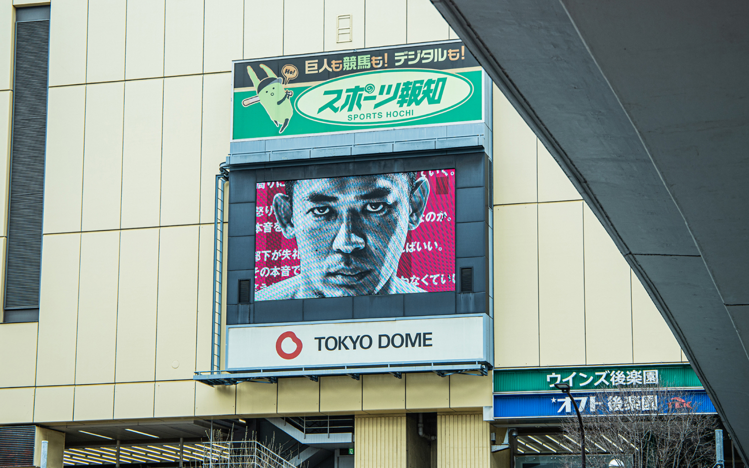 DDT -やさしいだけじゃないのが、やさしさだ。